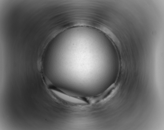 X0000089860993200707191917