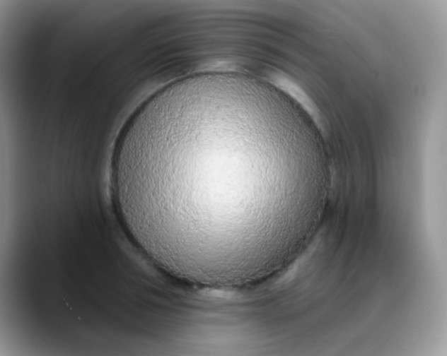 X0000089860994200707191917