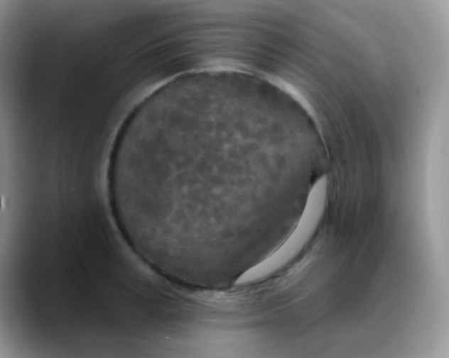 X0000089860995200707191917