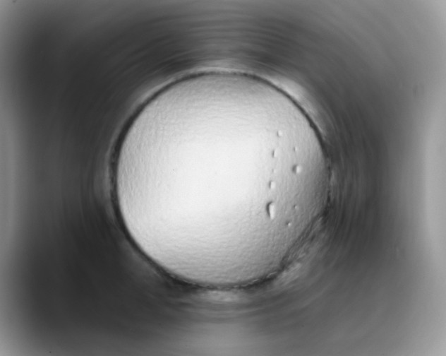 X0000089860998200707191917