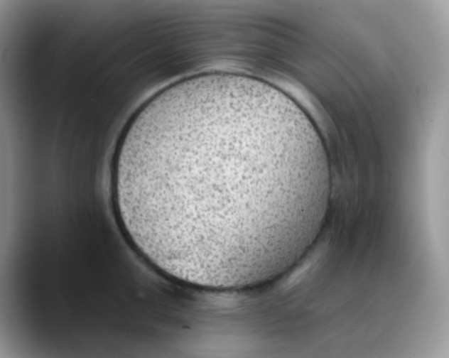 X0000089860999200707191917