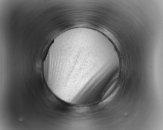 X0000089861001200707191917