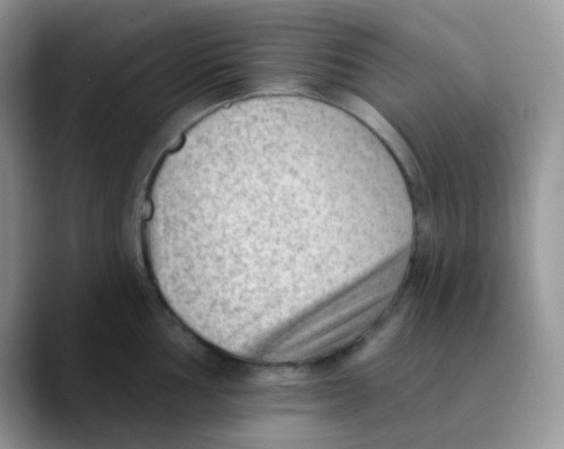 X0000089861002200707191917