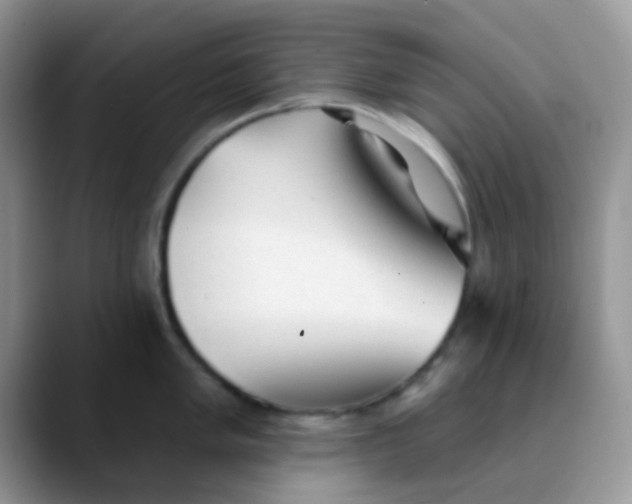 X0000089861005200707191917