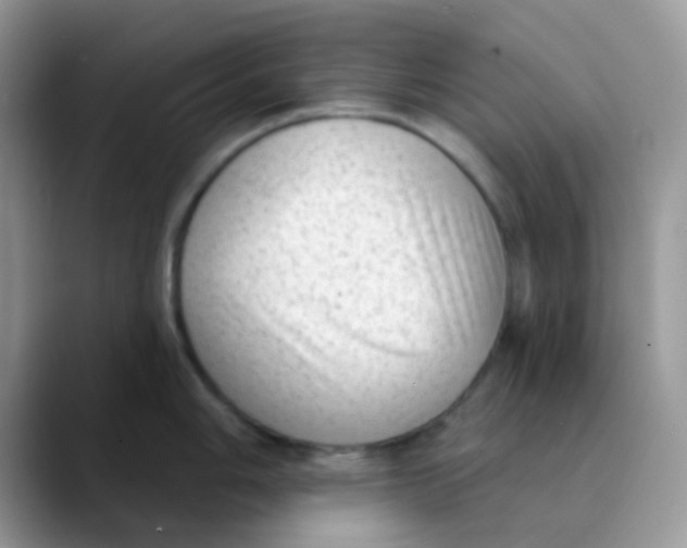 X0000089861006200707191917