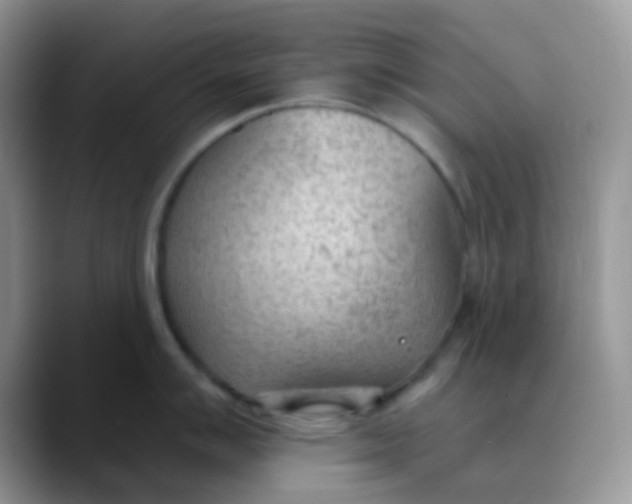 X0000089861007200707191917