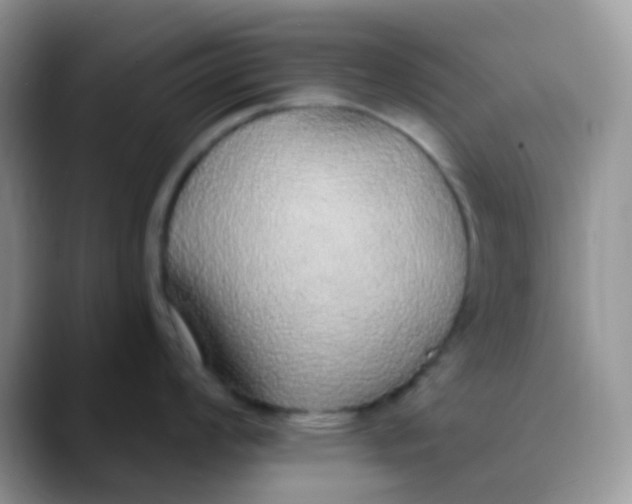 X0000089861008200707191917