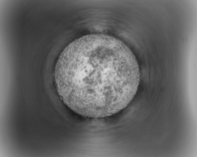 X0000089861009200707191916