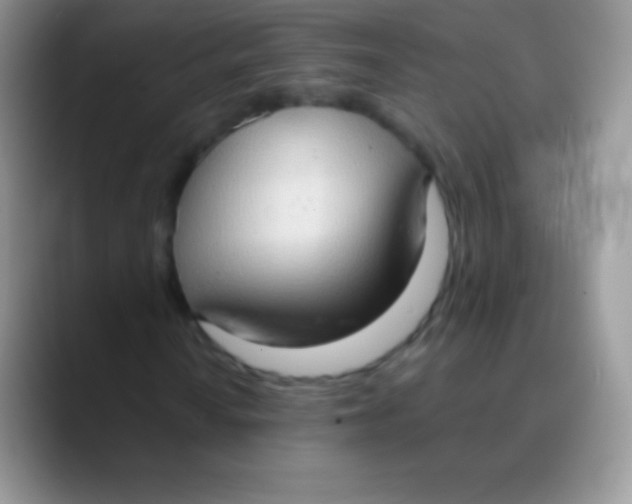 X0000089861010200707191916