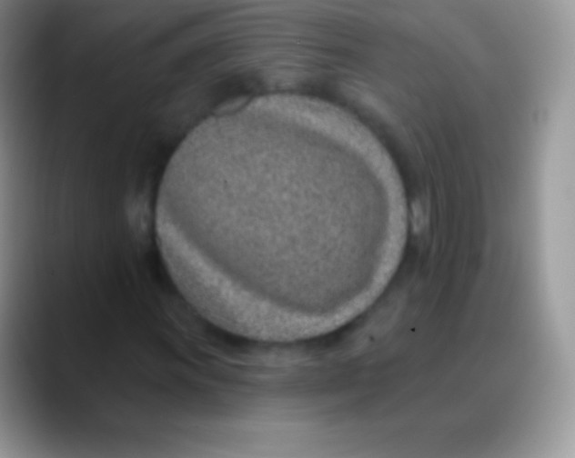 X0000089861011200707191916