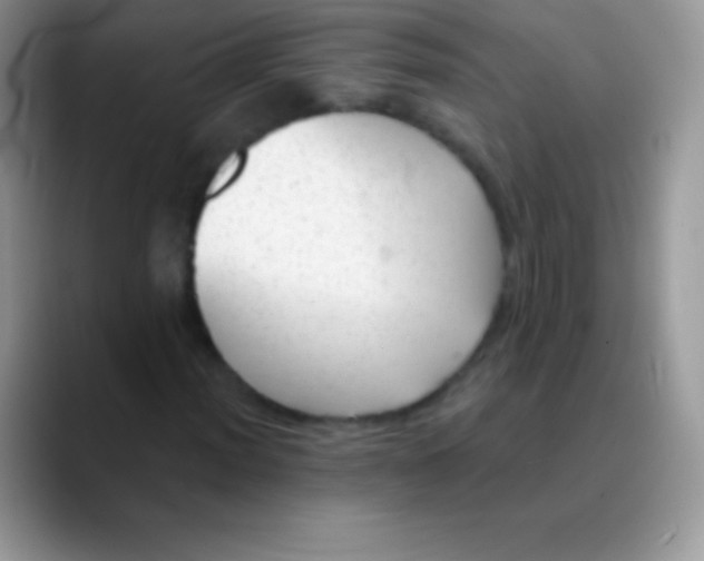 X0000089861012200707191916