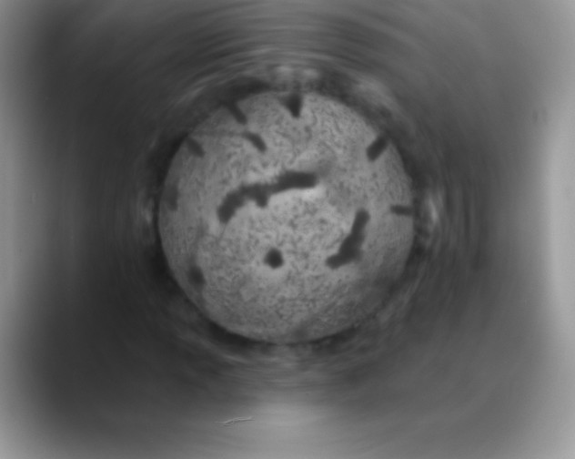 X0000089861013200707191916