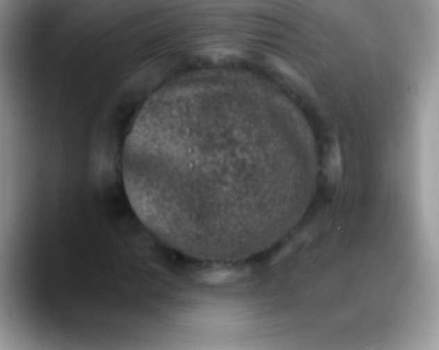 X0000089861014200707191916