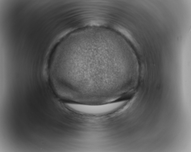 X0000089861018200707191916