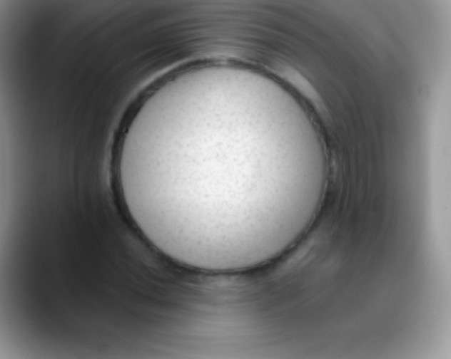 X0000089861020200707191916