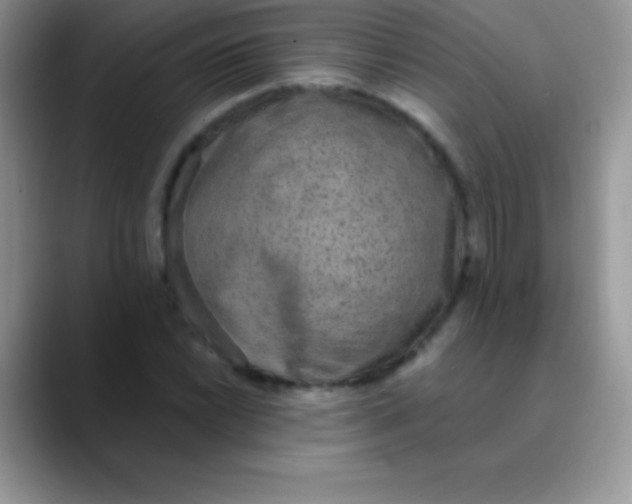 X0000089861022200707191916