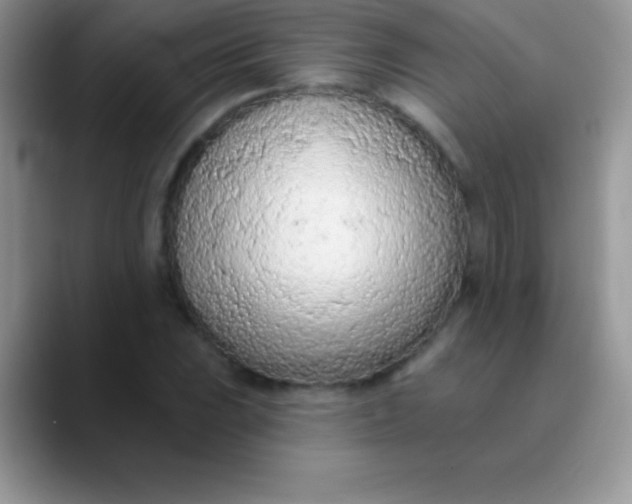 X0000089861023200707191916