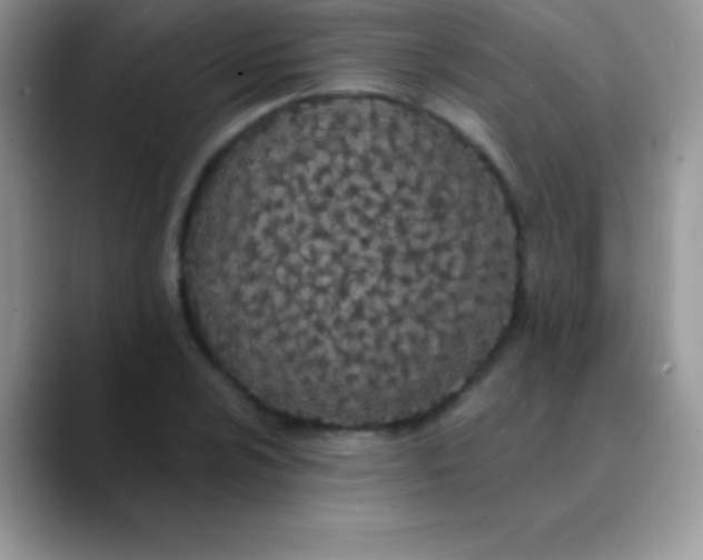 X0000089861024200707191916