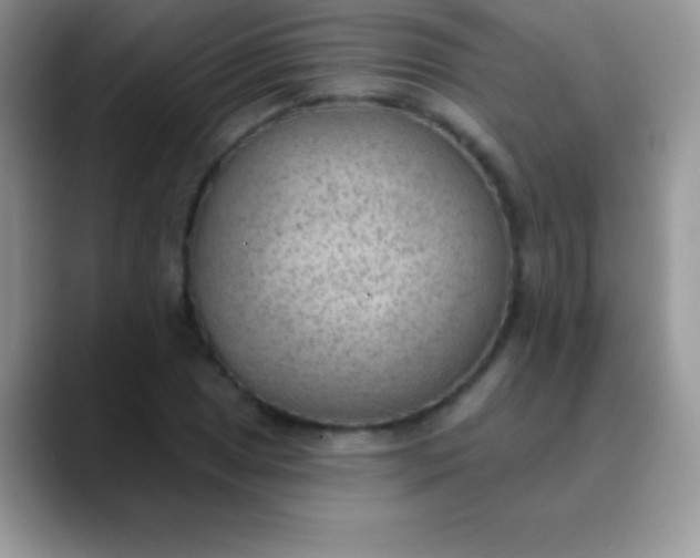 X0000089861025200707191916