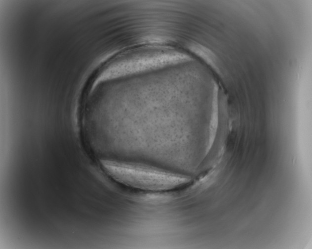 X0000089861026200707191916