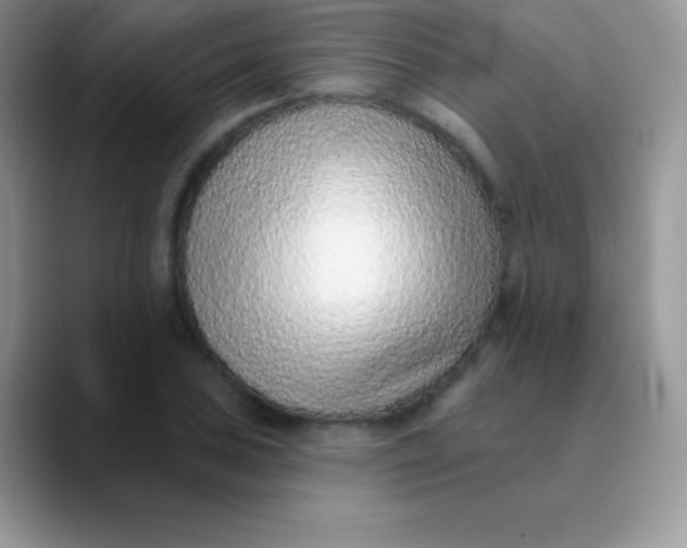 X0000089861027200707191916