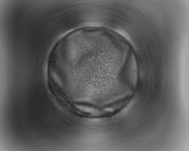 X0000089861030200707191917