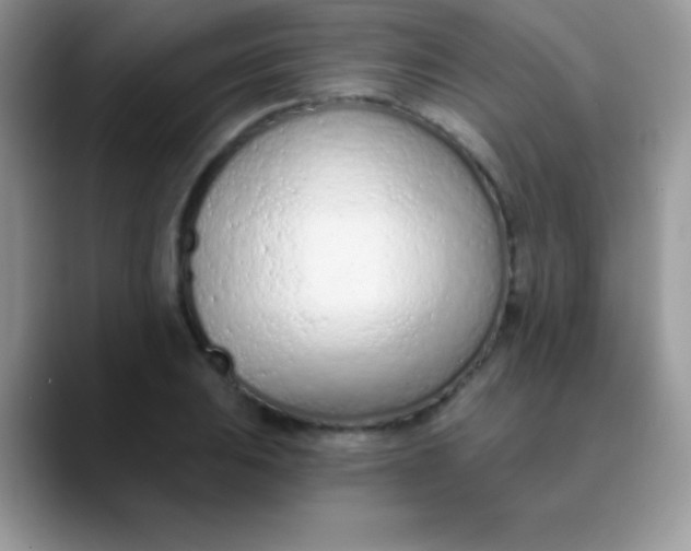 X0000089861031200707191917