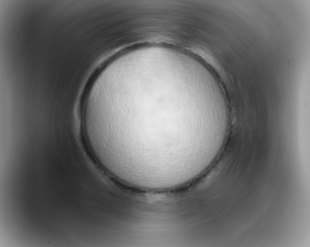 X0000089861032200707191917