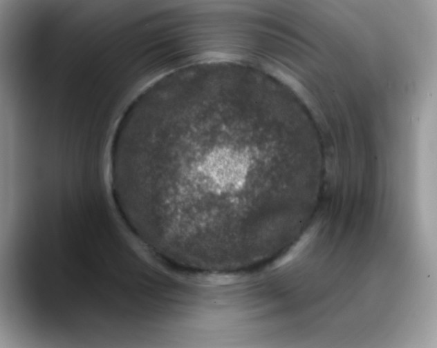 X0000089861034200707191917