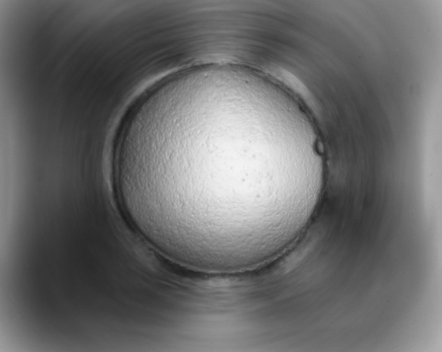 X0000089861035200707191917