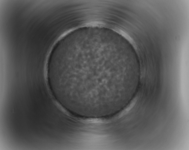 X0000089861037200707191917