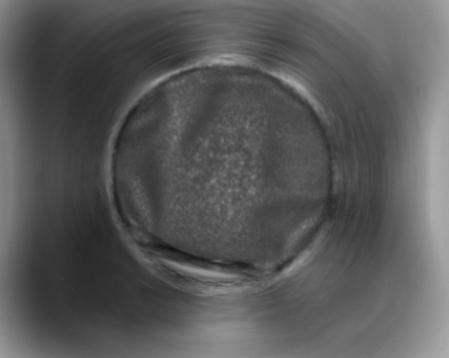 X0000089861038200707191917