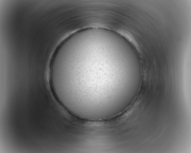 X0000089861040200707191917