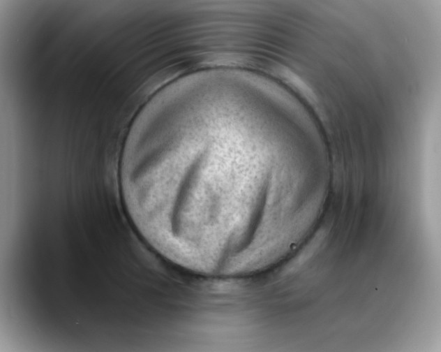 X0000089861041200707191917