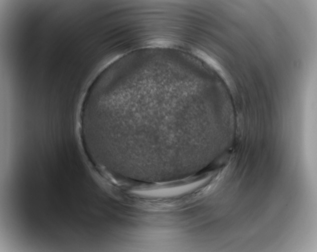 X0000089861042200707191917