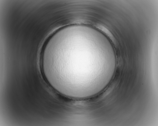 X0000089861043200707191917