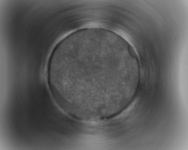 X0000089861045200707191917