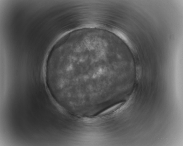 X0000089861046200707191917