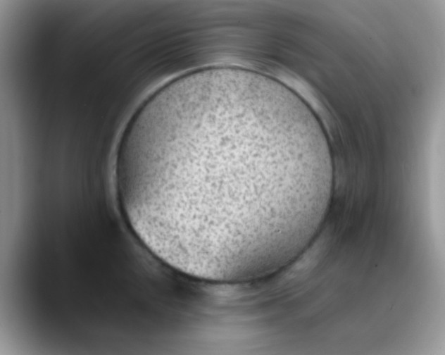 X0000089861048200707191917