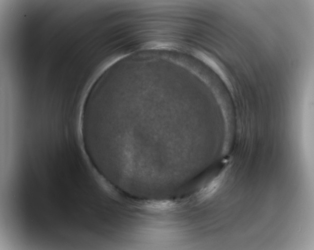 X0000089861050200707191917