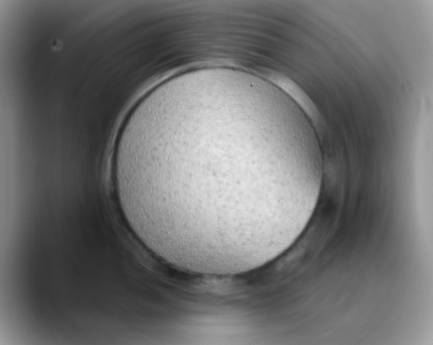 X0000089861052200707191917