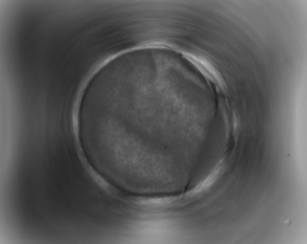 X0000089861054200707191917