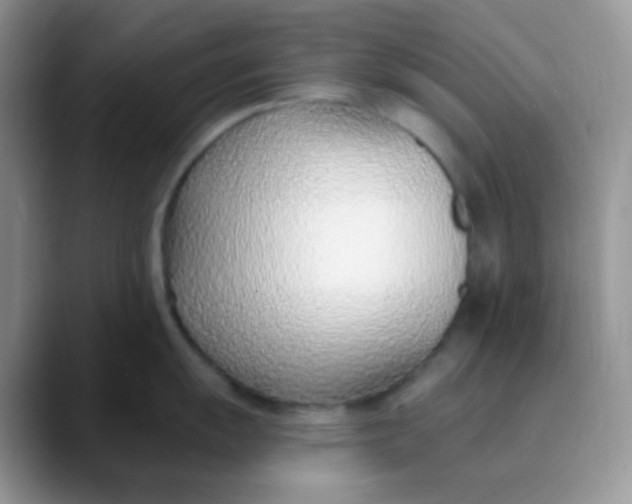 X0000089861055200707191917