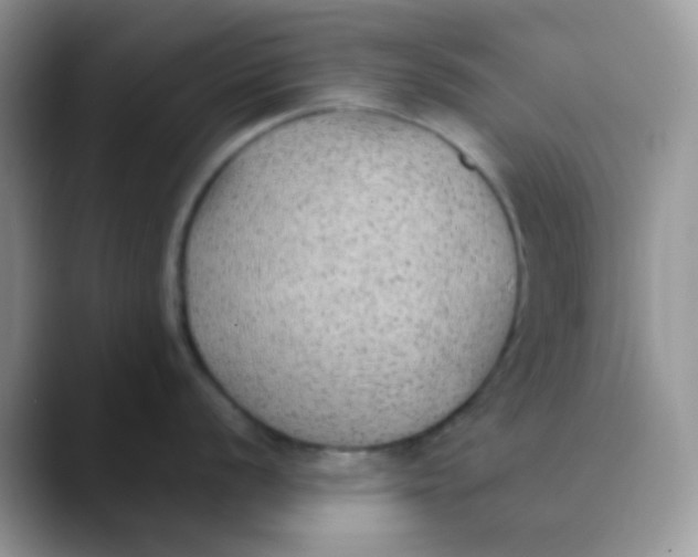 X0000089861056200707191917