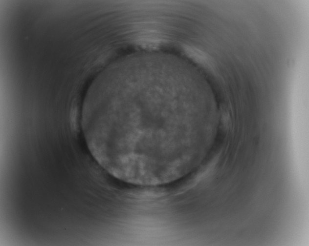 X0000089861060200707191916