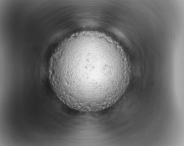 X0000089861063200707191916