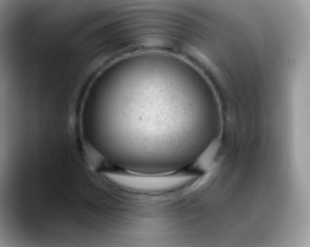 X0000089861065200707191916