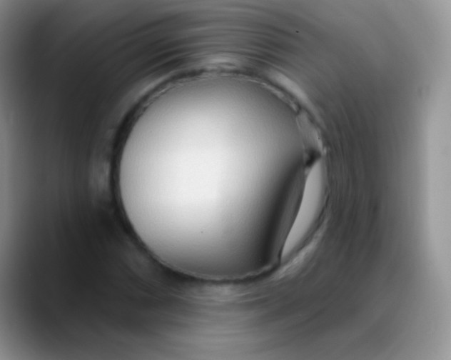 X0000089861066200707191916