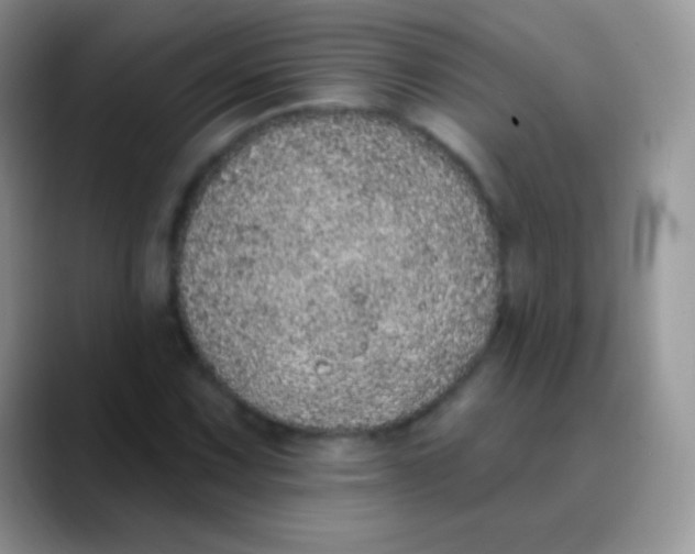 X0000089861067200707191916