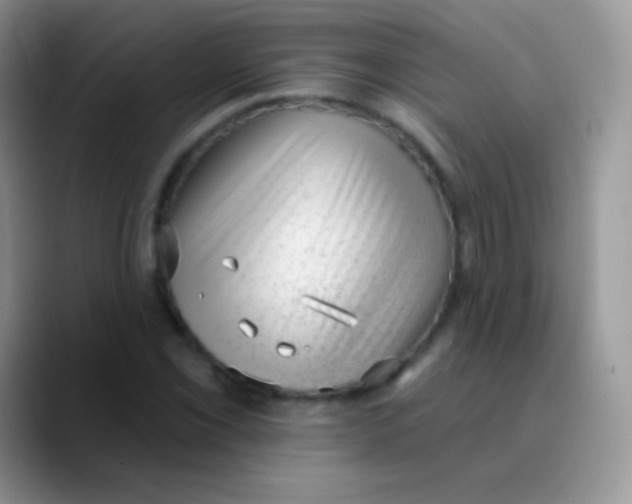 X0000089861069200707191916